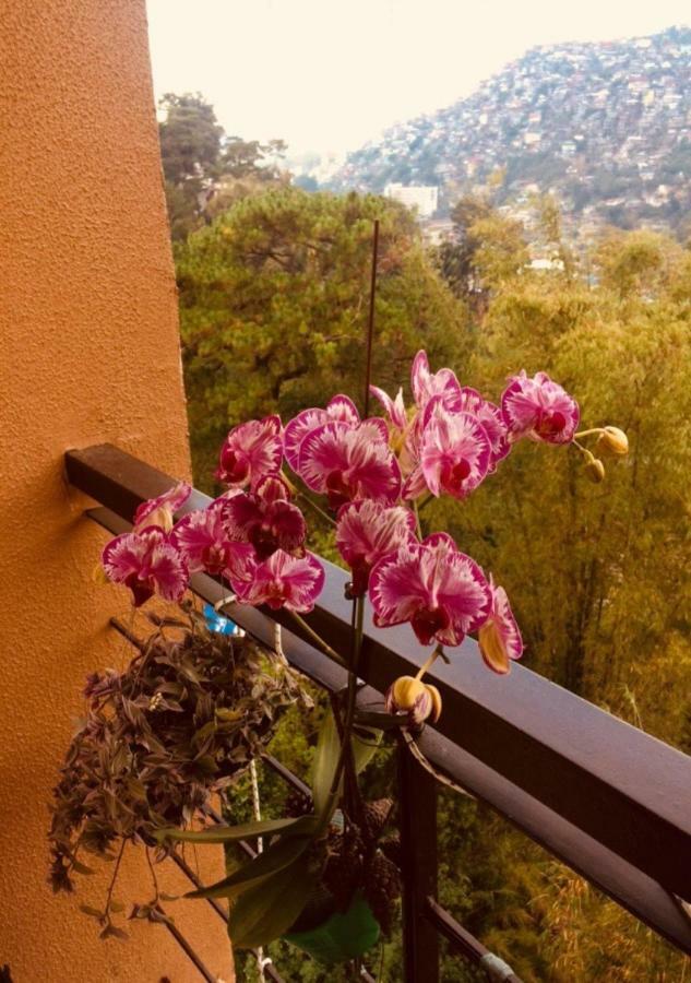 Courtyards Peak-Corner Pinestay - At Goshenland Baguio Baguio City Luaran gambar
